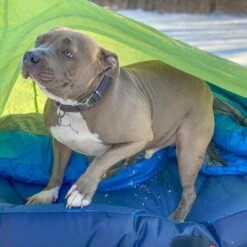 Big Agnes Goosenest Inflatable Cot Bed -Outdoor Essentials Shop zllo1059