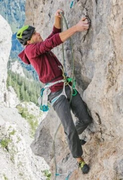 Edelrid Prisma Sport Climbing Harness -Outdoor Essentials Shop zllo262